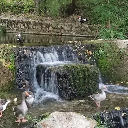 Puerta Del Parque * Cazorla